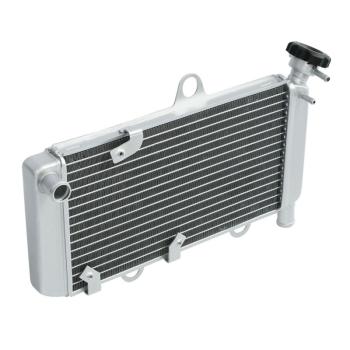 10 649 р. Радиатор для Yamaha XT660R, XT660X 04-14  пм-00025634  с доставкой в г. Пермь. Увеличить фотографию 2