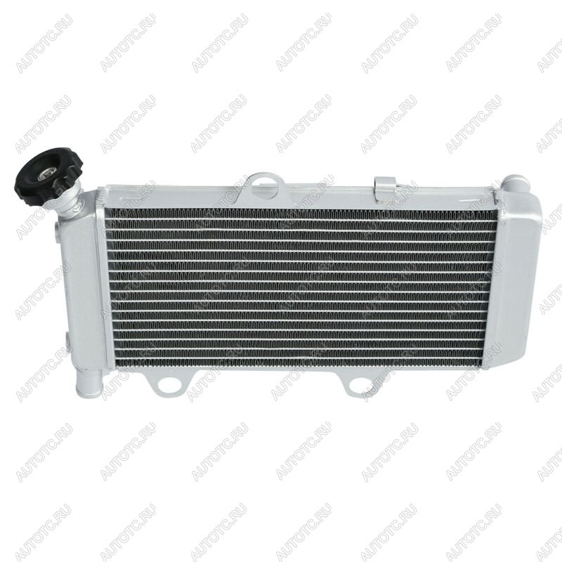 10 649 р. Радиатор для Yamaha XT660R, XT660X 04-14  пм-00025634  с доставкой в г. Пермь