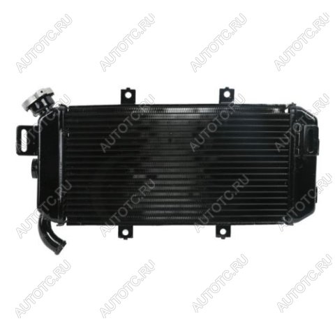 12 109 р. Радиатор для Kawasaki ER-6F 06-08  пм-00027318  с доставкой в г. Пермь