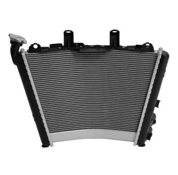 24 429 р. Радиатор для BMW M1000RR 21-24, S1000R 21-24, S1000RR 19-24  пм-00030874  с доставкой в г. Пермь. Увеличить фотографию 3