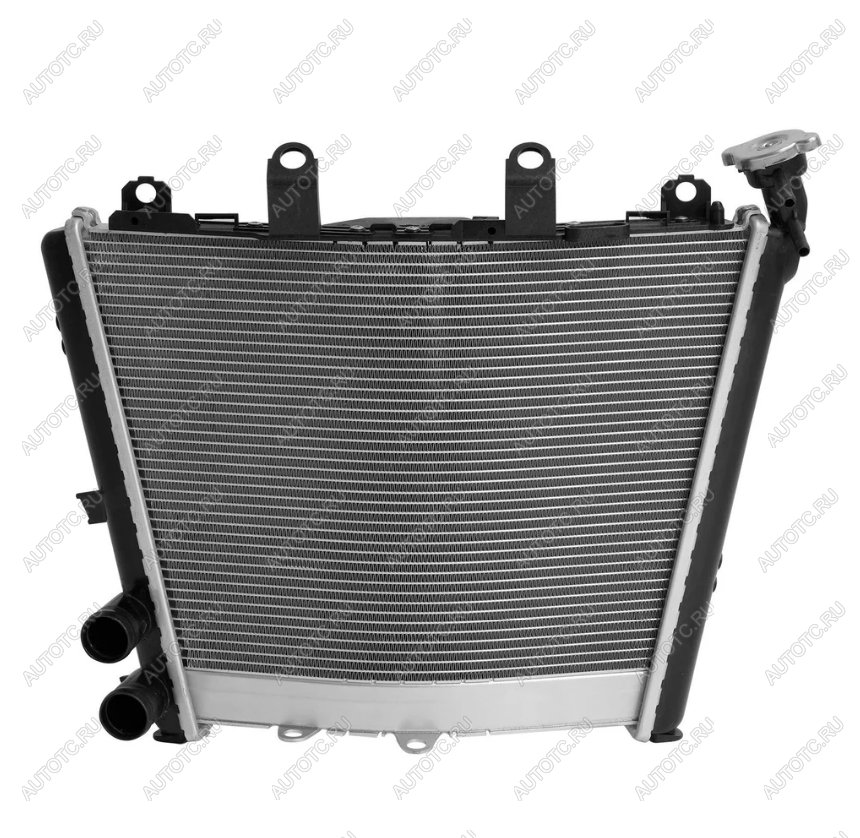 24 429 р. Радиатор для BMW M1000RR 21-24, S1000R 21-24, S1000RR 19-24  пм-00030874  с доставкой в г. Пермь