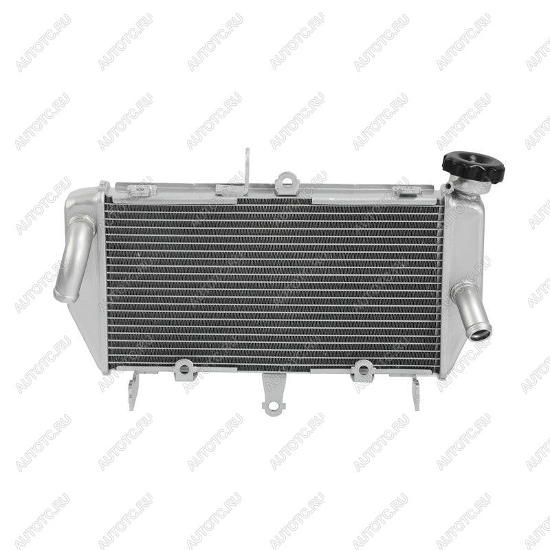 13 669 р. Радиатор для Yamaha MT-03, MT-25 16-24  пм-00030800  с доставкой в г. Пермь