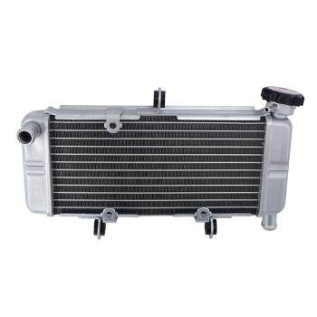 Радиатор для Honda CBR300R 15-22, CBR250R 11-18, CB300F 15-18  пм-00030881