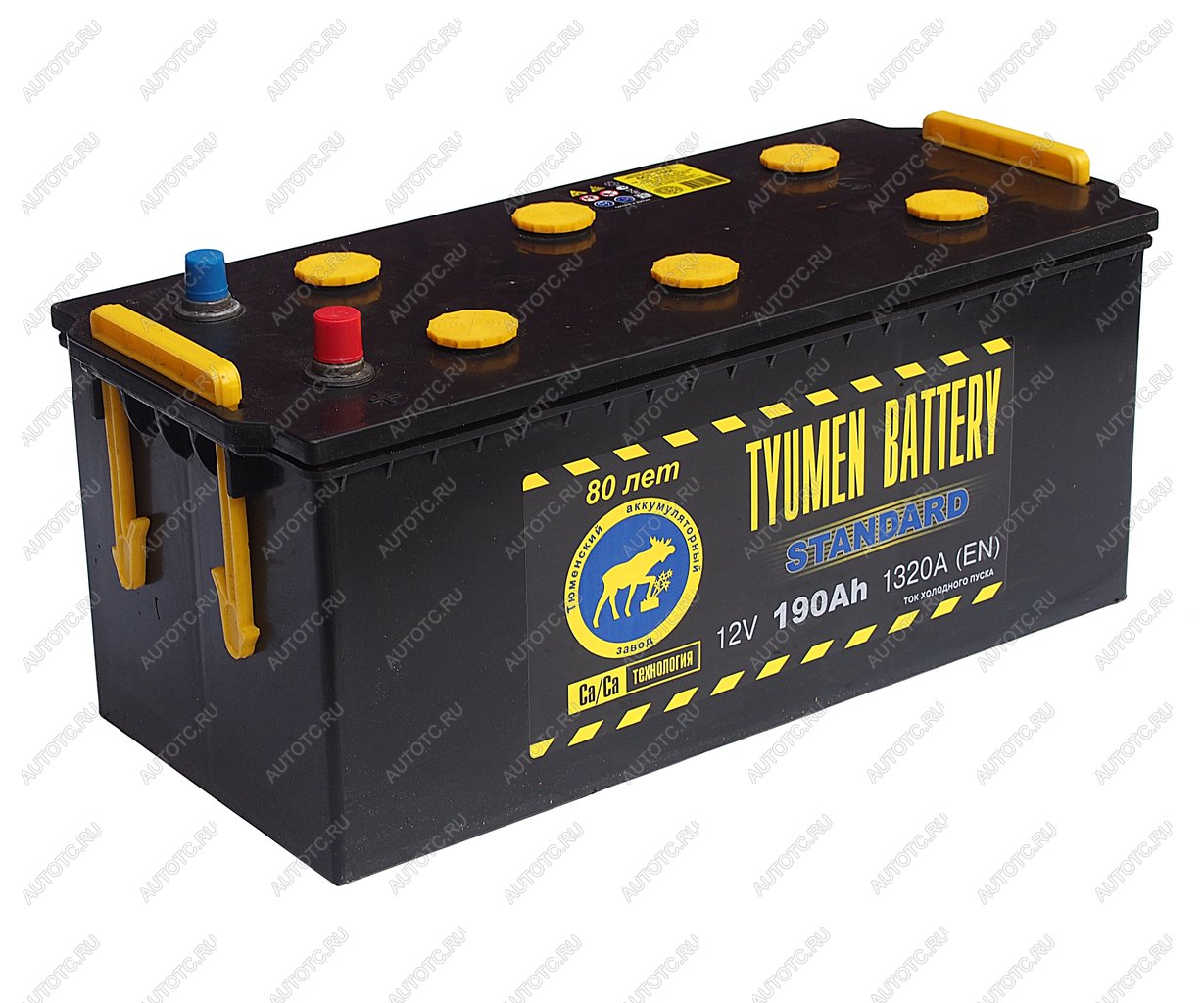 21 899 р. Аккумулятор TYUMEN BATTERY STANDART 190Ач под болт TYMEN BATTERY 6ст190(4)  с доставкой в г. Пермь