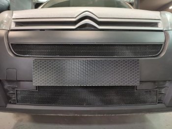 2 149 р. Защитная сетка в бампер (верх, ячейка 3х7 мм) Alfeco Стандарт CITROEN Berlingo B9 рестайлинг (2015-2022) (Чёрная)  с доставкой в г. Пермь. Увеличить фотографию 2