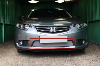 Защитная сетка в бампер (низ, ячейка 3х7 мм) Alfeco Стандарт Honda Accord ( 8 CU,  8 CW) (2011-2013) седан рестайлинг, универсал рестайлинг (Хром)