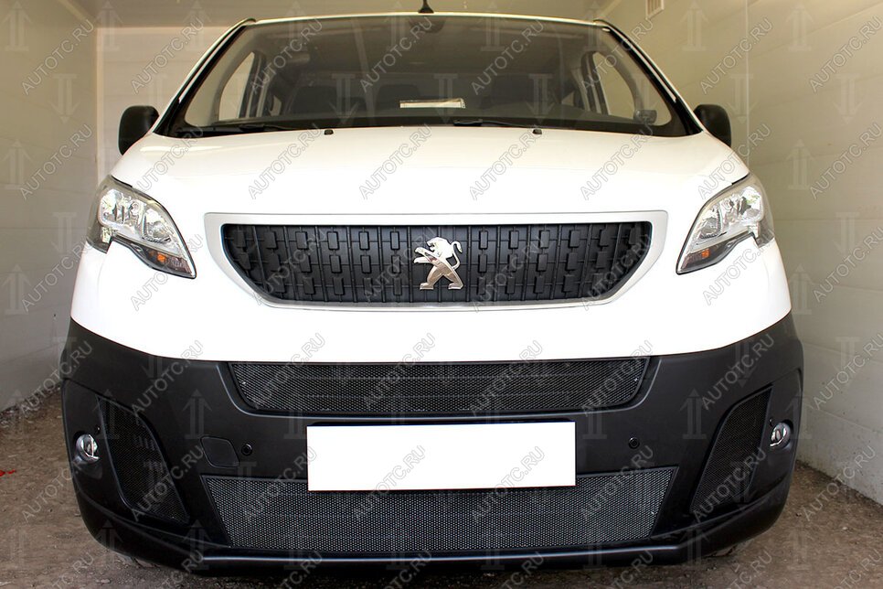5 949 р. Защита радиатора (2 части центральные) Стрелка11 Стандарт  Peugeot Expert  K0 (2016-2024) цельнометаллический фургон дорестайлинг (черная)  с доставкой в г. Пермь