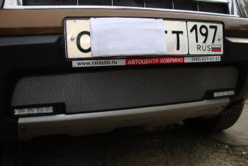 Защита радиатора ( с вырезом под ДХО) Стрелка11 Стандарт Renault Duster  HS (2010-2015) дорестайлинг (черная)