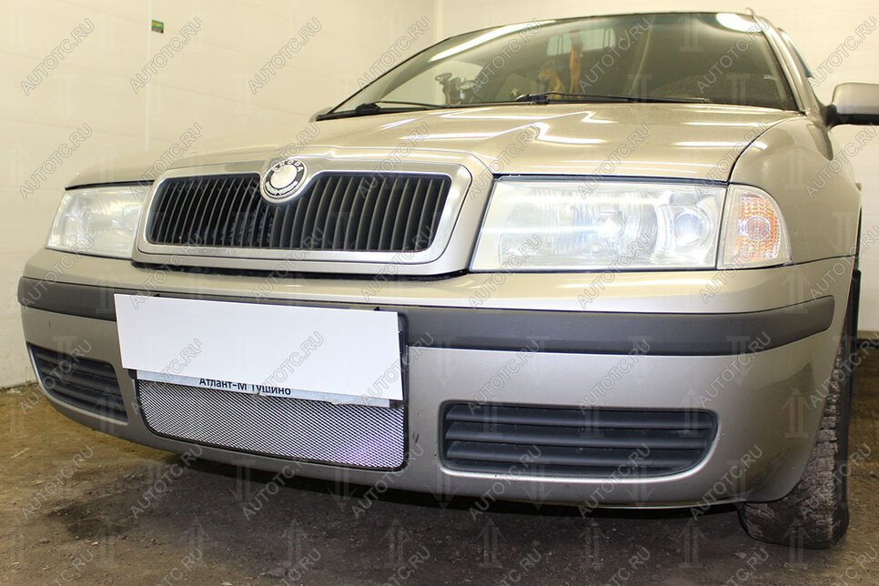 3 149 р. Защита радиатора Стрелка11 Стандарт Skoda Octavia Tour A4 1U2 лифтбэк рестайлинг (2000-2010) (хром)  с доставкой в г. Пермь