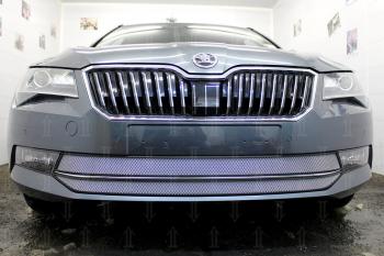 4 999 р. Защита радиатора (2 части) Стрелка11 Стандарт  Skoda Superb ( B8 (3V),  B8 (3V5)) (2015-2019) лифтбэк дорестайлинг, универсал дорестайлинг (хром)  с доставкой в г. Пермь. Увеличить фотографию 2