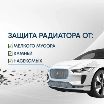 Защитная сетка в бампер (низ, ячейка 3х7 мм) Alfeco Стандарт EXEED RX (2022-2025) (Хром)