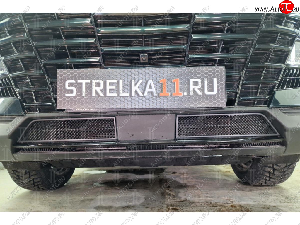 2 399 р. Защитная сетка в бампер (низ, 2 части, ячейка 3х7 мм) Alfeco Стандарт Jetour Dashing (2022-2025) (Чёрная)  с доставкой в г. Пермь