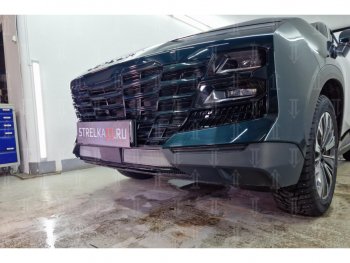 2 559 р. Защитная сетка в бампер (низ, 2 части, ячейка 3х7 мм) Alfeco Стандарт  Jetour Dashing (2022-2025) (Хром)  с доставкой в г. Пермь. Увеличить фотографию 2