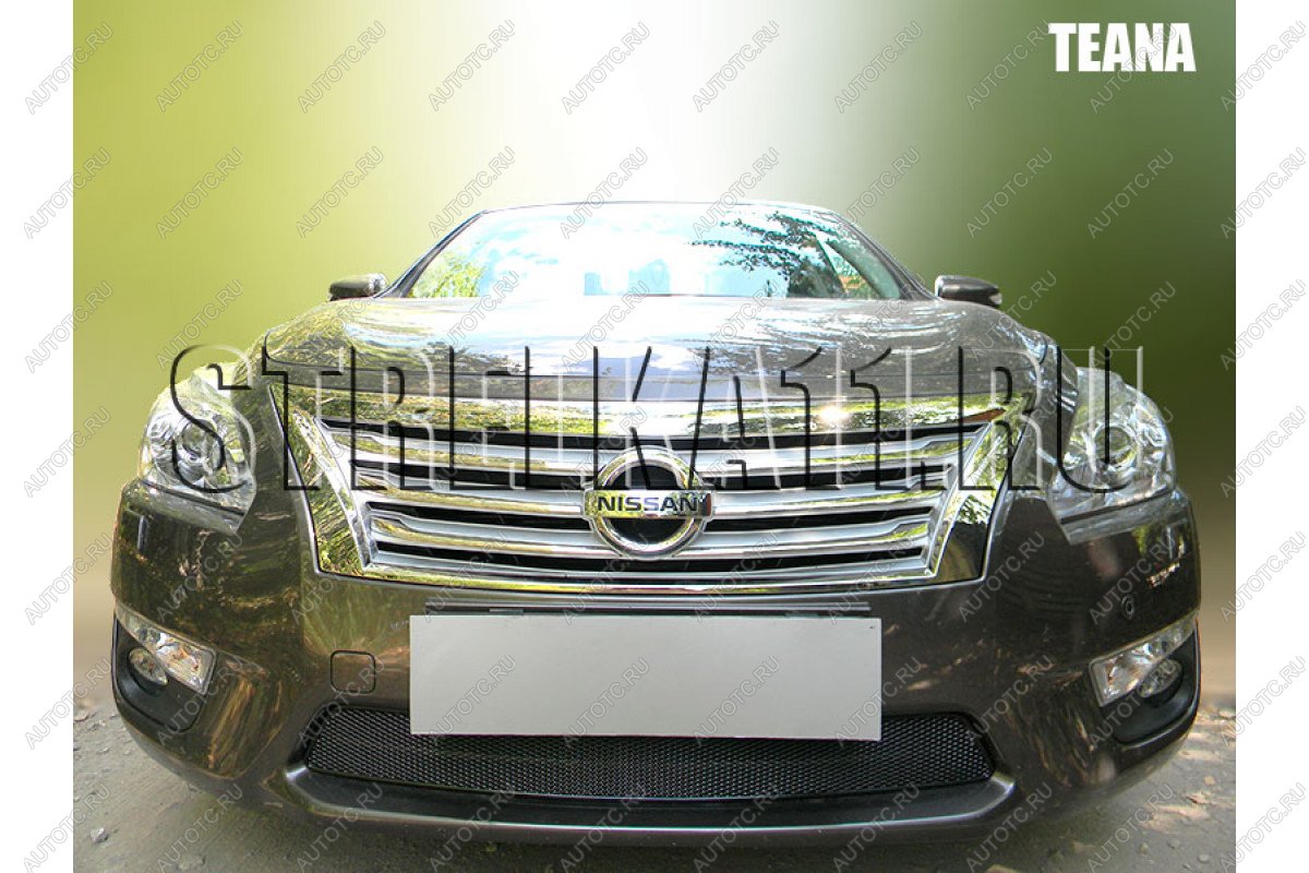 4 099 р. Защита радиатора Стрелка11 PREMIUM Nissan Teana 2 J32 дорестайлинг (2008-2011) (черная)  с доставкой в г. Пермь