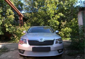 Защита радиатора Стрелка11 PREMIUM Skoda Superb (B6) 3T лифтбэк рестайлинг (2013-2015) (хром)
