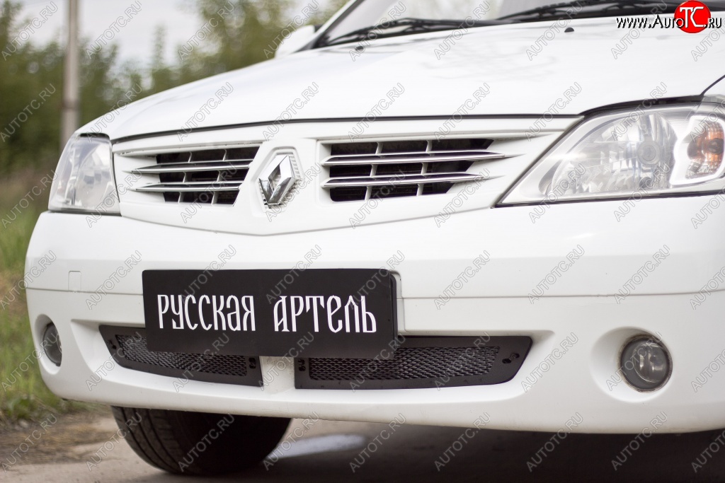 1 859 р. Защитная сетка решетки переднего бампера РА Renault Logan 1 дорестайлинг (2004-2010)  с доставкой в г. Пермь