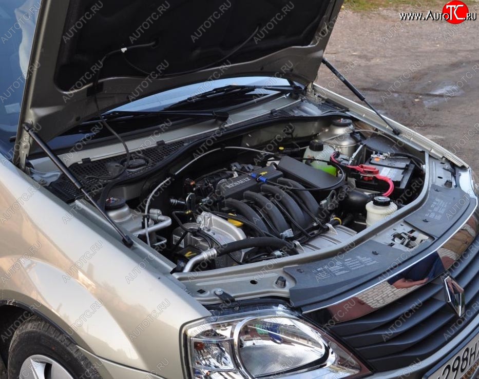 2 199 р. Газовые упоры капота Berkut Renault Logan 1 дорестайлинг (2004-2010)  с доставкой в г. Пермь