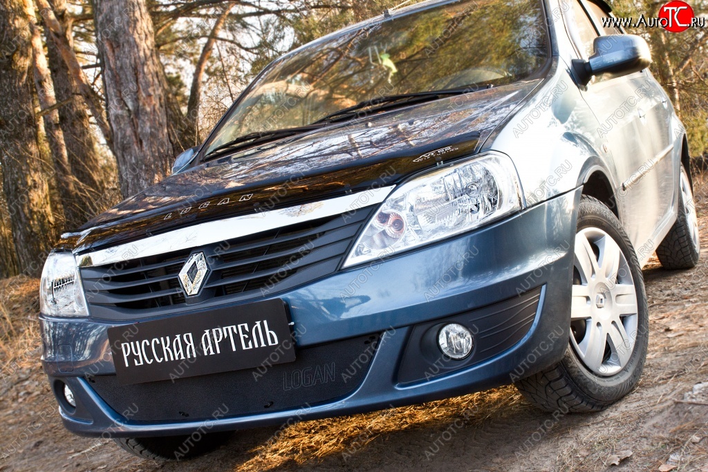 999 р. Защитная сетка решетки переднего бампера РА  Renault Logan  1 (2010-2016) рестайлинг  с доставкой в г. Пермь