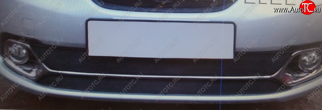 1 789 р. Нижняя защитная сетка на бампер (Privilege, Luxe) Russtal (черная) Renault Logan 2 дорестайлинг (2014-2018)  с доставкой в г. Пермь