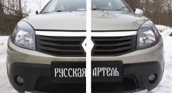 2 199 р. Защитная сетка решетки переднего бампера РА  Renault Sandero Stepway  (BS) (2010-2014)  с доставкой в г. Пермь. Увеличить фотографию 2