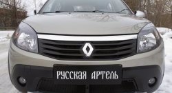 2 199 р. Защитная сетка решетки переднего бампера РА  Renault Sandero Stepway  (BS) (2010-2014)  с доставкой в г. Пермь. Увеличить фотографию 3