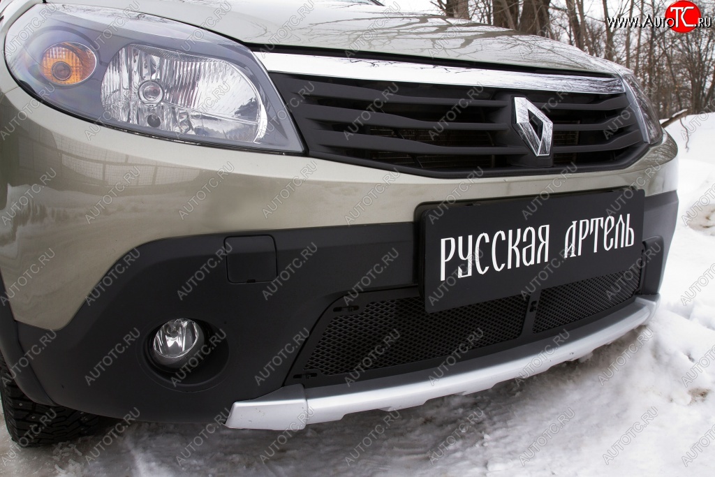 2 199 р. Защитная сетка решетки переднего бампера РА  Renault Sandero Stepway  (BS) (2010-2014)  с доставкой в г. Пермь