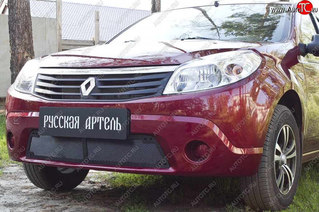 2 149 р. Защитная сетка решетки переднего бампера РА  Renault Sandero  (BS) (2009-2014)  с доставкой в г. Пермь