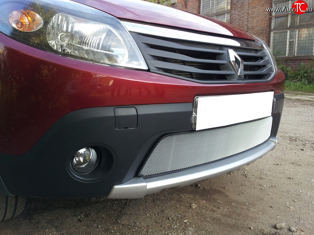 1 539 р. Сетка на бампер Russtal (хром) Renault Sandero Stepway (BS) (2010-2014)  с доставкой в г. Пермь