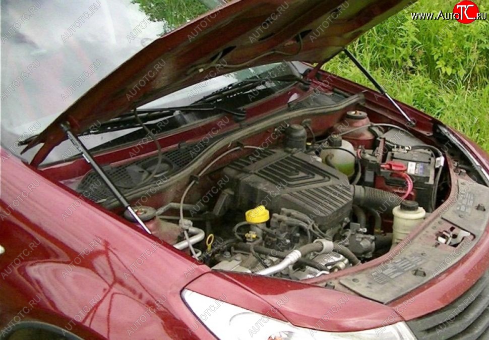 2 199 р. Газовые упоры капота Berkut Renault Sandero (BS) (2009-2014)  с доставкой в г. Пермь