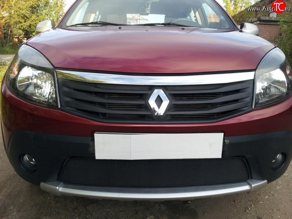 1 934 р. Сетка на бампер Novline Renault Sandero Stepway (B8) дорестайлинг (2014-2018)  с доставкой в г. Пермь
