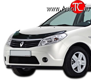 4 599 р. Дефлектор капота NovLine Renault Sandero Stepway (BS) (2010-2014)  с доставкой в г. Пермь