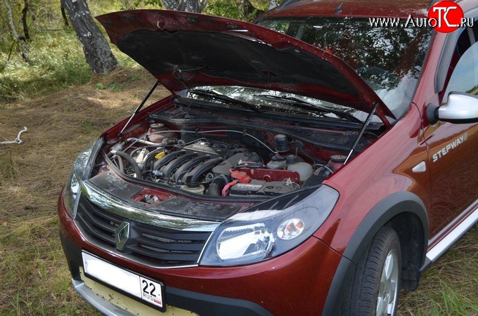2 969 р. Упор капота Sport.  Renault Sandero  (BS) - Sandero Stepway  (BS)  с доставкой в г. Пермь