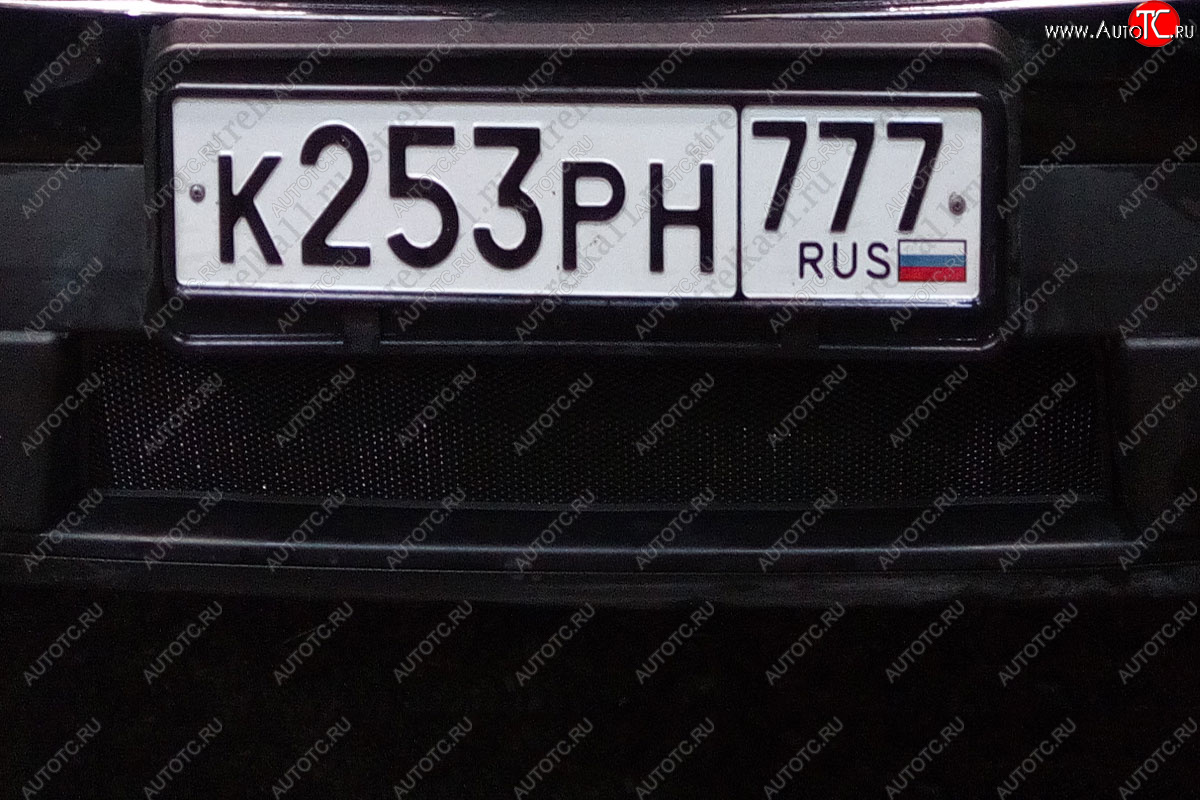 2 899 р. Защитная сетка радиатора в бампер (ячейка 3х7 мм, комплект) Стрелка 11 Стандарт  Ford Explorer  U502 (2010-2016) дорестайлинг (черная)  с доставкой в г. Пермь