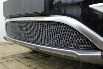 Защитная сетка радиатора в бампер (ячейка 4х10 мм) Стрелка11 Премиум Geely Atlas  NL3 (2016-2022) (черная)