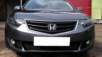 Защитная сетка радиатора в бампер (ячейка 3х7 мм) Стрелка11 Стандарт Honda Accord ( 8 CU,  8 CW) (2008-2011) седан дорестайлинг, универсал дорестайлинг (черная)