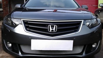 Защитная сетка радиатора в бампер (ячейка 3х7 мм) Стрелка11 Стандарт Honda Accord ( 8 CU,  8 CW) (2008-2011) седан дорестайлинг, универсал дорестайлинг (хром)