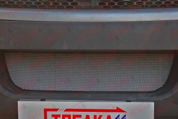 2 899 р. Защитная сетка радиатора в бампер (ячейка 3х7 мм) Стрелка11 Стандарт  Iveco Daily (2006-2011) (хром)  с доставкой в г. Пермь. Увеличить фотографию 2