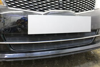 4 499 р. Защитная сетка радиатора в бампер (ячейка 3х7 мм, GT/GT-Line) Стрелка11 Стандарт KIA Optima 4 JF дорестайлинг универсал (2015-2018) (черная)  с доставкой в г. Пермь. Увеличить фотографию 2