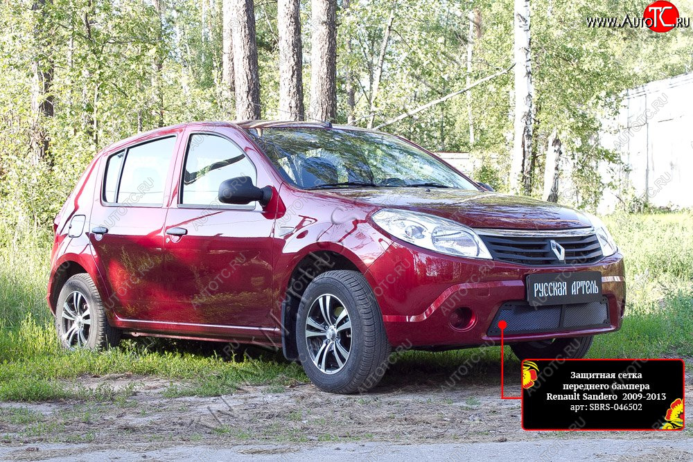 2 149 р. Защитная сетка решетки переднего бампера Русская Артель  Renault Sandero  (BS) (2009-2014) (Поверхность текстурная)  с доставкой в г. Пермь