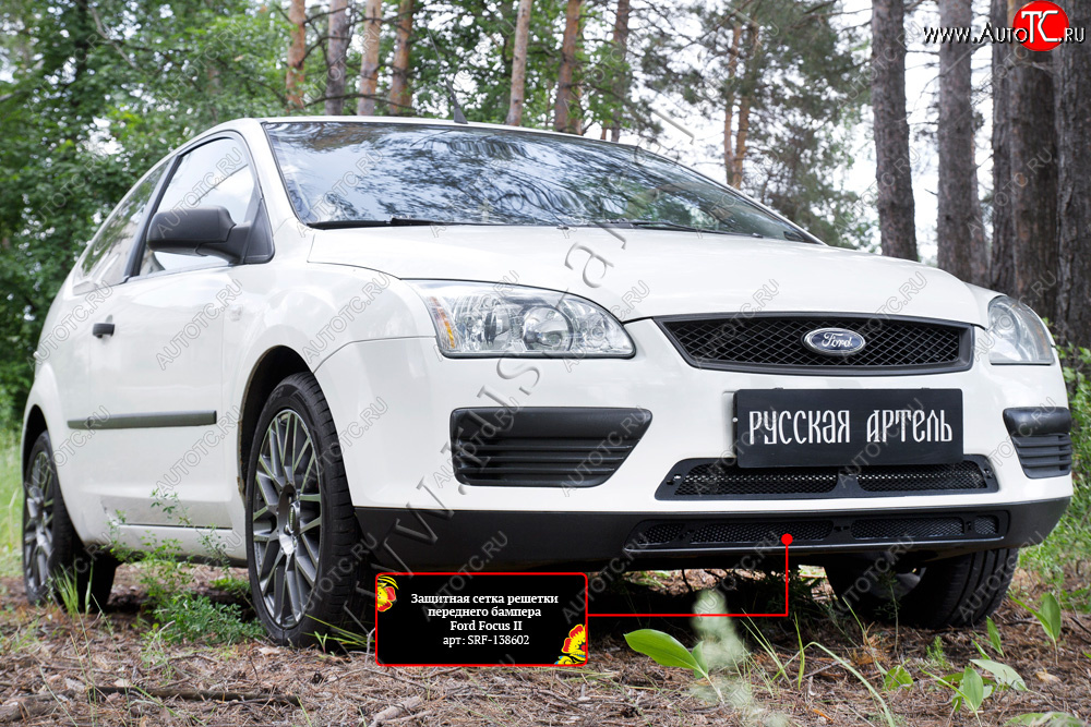 2 659 р. Защитная сетка решетки переднего бампера Русская Артель  Ford Focus  2 (2004-2008)  седан дорестайлинг, универсал дорестайлинг, хэтчбэк 3 дв. дорестайлинг, хэтчбэк 5 дв. дорестайлинг (Поверхность текстурная)  с доставкой в г. Пермь
