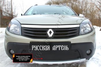Защитная сетка и зимняя заглушка решетки радиатора Русская Артель Renault Sandero Stepway  (BS) (2010-2014) (Поверхность текстурная)