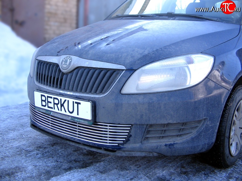 5 899 р. Декоративная вставка воздухозаборника Berkut Skoda Fabia Mk2 хэтчбэк дорестайлинг (2007-2010)  с доставкой в г. Пермь