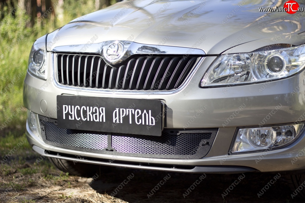 2 069 р. Защитная сетка решетки переднего бампера РА Skoda Fabia Mk2 универсал рестайлинг (2010-2014)  с доставкой в г. Пермь