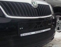1 469 р. Сетка на бампер (рестайлинг) Russtal (черная) Skoda Fabia Mk2 хэтчбэк дорестайлинг (2007-2010)  с доставкой в г. Пермь. Увеличить фотографию 2