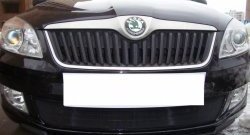 1 469 р. Сетка на бампер (рестайлинг) Russtal (черная) Skoda Fabia Mk2 хэтчбэк дорестайлинг (2007-2010)  с доставкой в г. Пермь. Увеличить фотографию 4