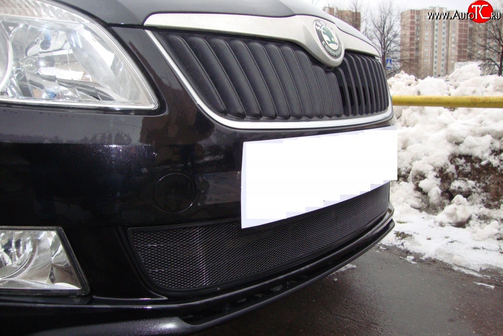 1 469 р. Сетка на бампер (рестайлинг) Russtal (черная) Skoda Fabia Mk2 хэтчбэк дорестайлинг (2007-2010)  с доставкой в г. Пермь