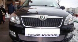 1 539 р. Сетка на бампер (рестайлинг) Russtal (хром) Skoda Fabia Mk2 хэтчбэк дорестайлинг (2007-2010)  с доставкой в г. Пермь. Увеличить фотографию 2