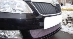 1 539 р. Сетка на бампер (рестайлинг) Russtal (хром) Skoda Fabia Mk2 хэтчбэк дорестайлинг (2007-2010)  с доставкой в г. Пермь. Увеличить фотографию 3
