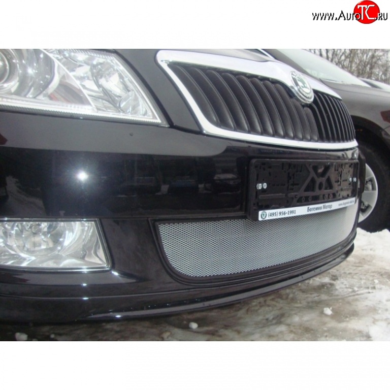 1 539 р. Сетка на бампер (рестайлинг) Russtal (хром) Skoda Fabia Mk2 хэтчбэк дорестайлинг (2007-2010)  с доставкой в г. Пермь