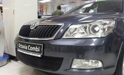 1 469 р. Сетка на бампер Russtal (черная) Skoda Octavia A5 рестайлинг универсал (2008-2013)  с доставкой в г. Пермь. Увеличить фотографию 2